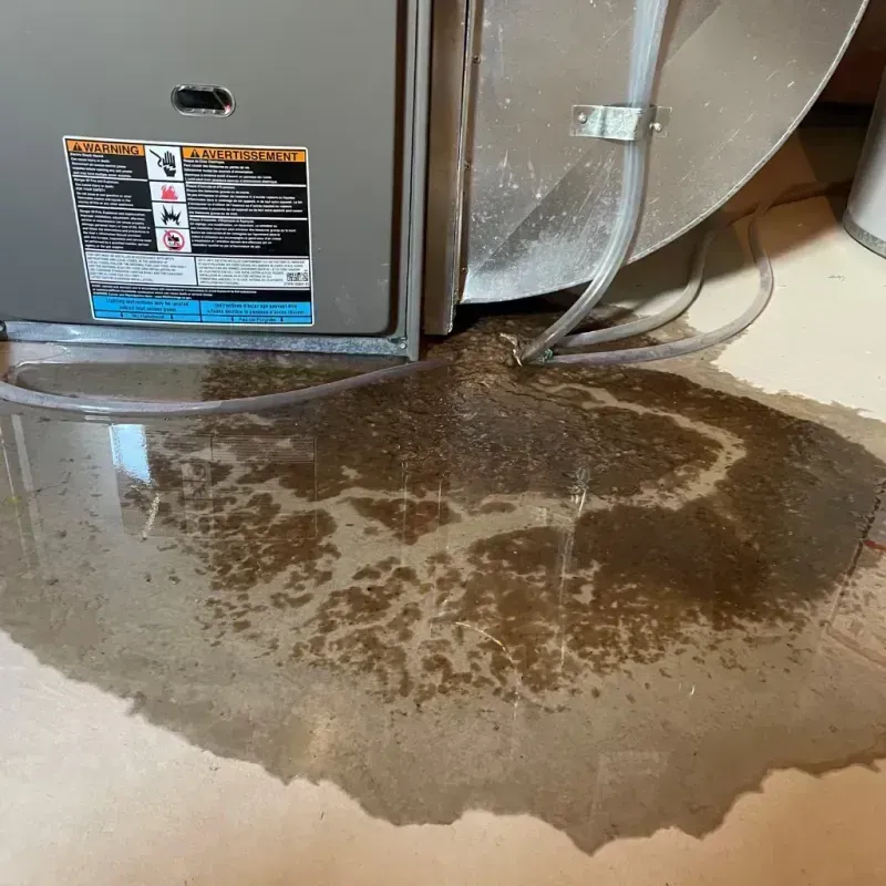 Appliance Leak Cleanup in Fair Haven, VT